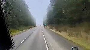 Бродяга выпрыгивает перед фурой в Западной Австралии.