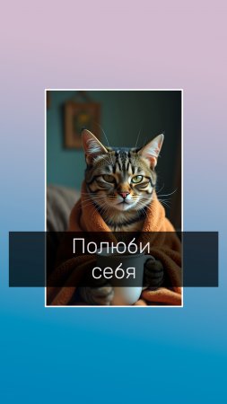 Полюби себя #психологволгоград #онлайнпсихолог #психолог #кот #мем Психолог Волгоград, КПТ Психолог