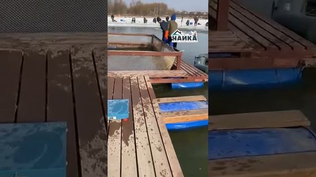 РК «Чайка».1 апреля зарыбление вкуснешей форелью. Вес запуска 100.2 кг. смотреть онлайн