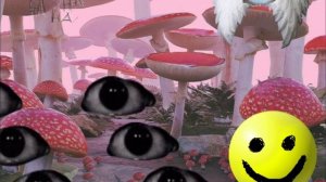 Animal cannibal (1 hour)