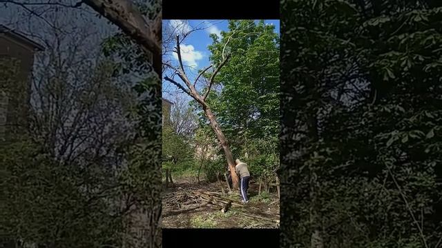 3. УБОРКА ПРИДОМОВОЙ ТЕРРИТОРИИ, ЧАСТЬ 3. смотреть онлайн