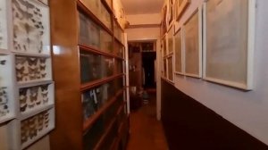 Новая Локация для съемок: Квартира СССР Сталинка Профессора