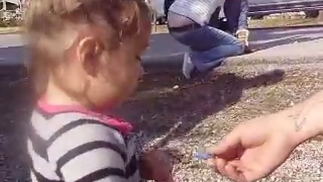 She's Skerd - Guthrie Parade - Christmas смотреть онлайн