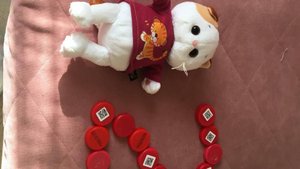 переходы с лилией