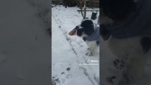 Избавился от шапки!...)))