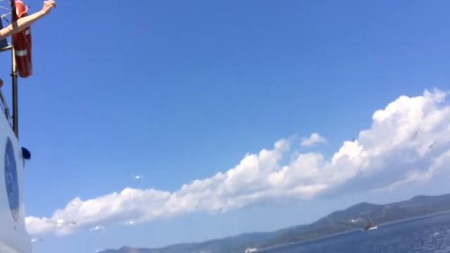 Чайки провожали нас с порта Нео Мармарис смотреть онлайн