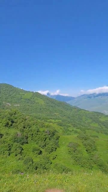 Буква "АЕ" смотреть онлайн