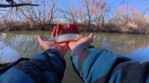 ГОЛАВЛЬ ИЗ ПУЛЕМЕТА! Рыбалка на голавля весной. Мормышинг. Отдохнул от города. Плотва. Голавль. Щука
