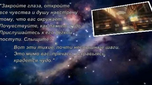 «Высшая Школа Библиотекарей» Милены Завойчинской смотреть онлайн