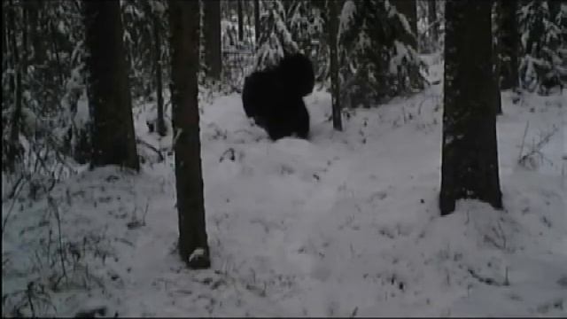 новости 25 10 16 смотреть онлайн