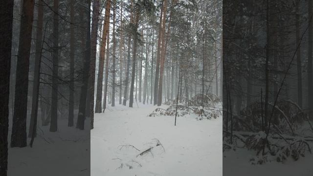 62)-Зимняя природа нашего Урала.