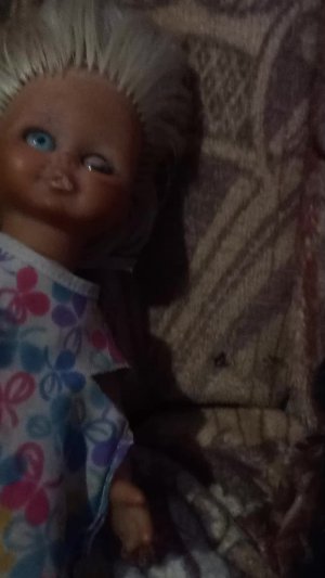 у нас появился домовёнок ляфаня реально