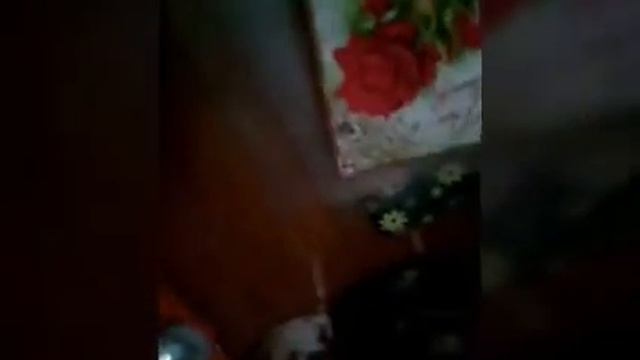 Мои покупки смотреть онлайн