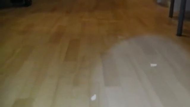 Хомяк смотреть онлайн