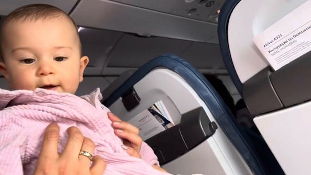 Ящерица на высоте полёта, по пути в Москву🦎@Alyonasfamily смотреть онлайн