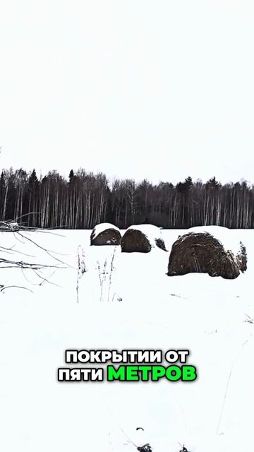 Улучшенное рулевое управление: новый снегоход Восток с мощными двигателем