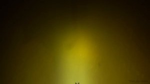 Подводная охота на Днепре