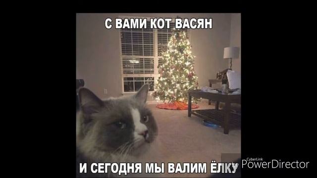 Чёрная пантера смотреть онлайн