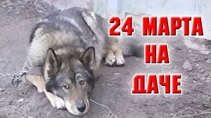 24 марта. На даче