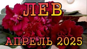 ЛЕВ таро прогноз на АПРЕЛЬ 2025 года.