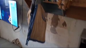 WhatsApp Video 2025-03-22 at 17.26.51