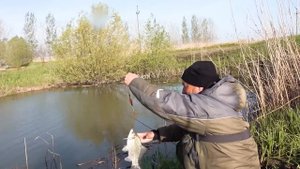 Первая рыбалка и сразу КРУПНЫЕ КАРАСИ! Весенняя ловля карася на поплавок