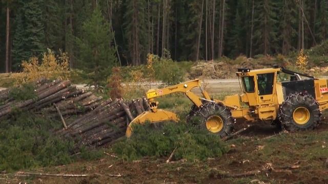 Скиддер Tigercat 630E транспортирует хлысты длинной 25 метров