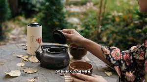 Такова жизнь в МАВРИТАНИИ, пустынной стране с РЫНОКОМ РАЗВЕДЕННЫХ ЖЕНЩИН В ПОИСК