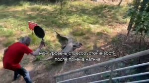Сплю только с ним