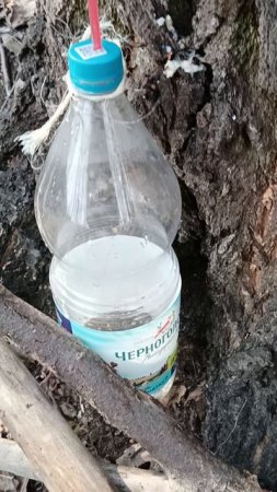 Капельница вновь в деле