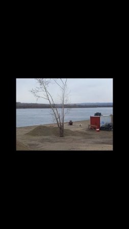 Понедельник В