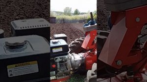 Мотоблок МТЗ, посадка картофеля сажалкой КСП