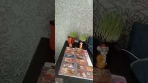 Соперница в эти дни...