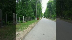 Пой, Виктор Цой ! ( авторская песня )