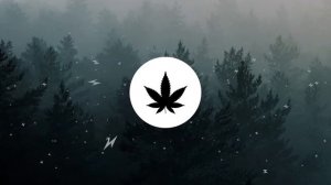 speed gang - bitch go die (bassbosted)