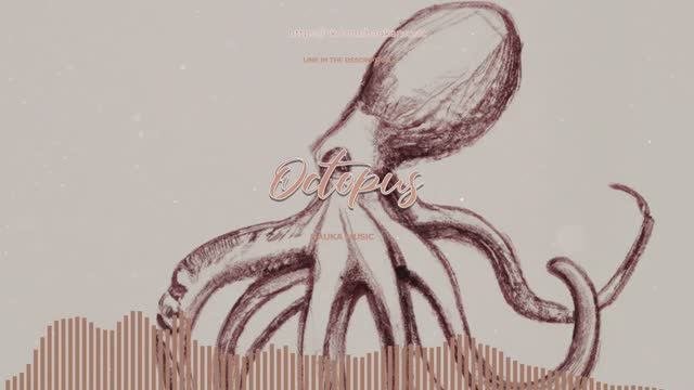 Hauka Music — Octopus