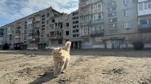 Прифронтовой Токмак