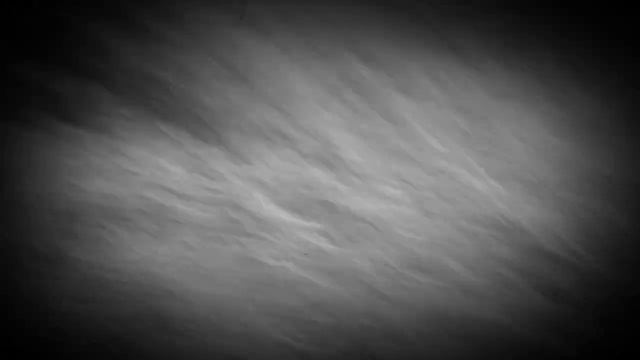 Неизвестный зверь в лесу смотреть онлайн