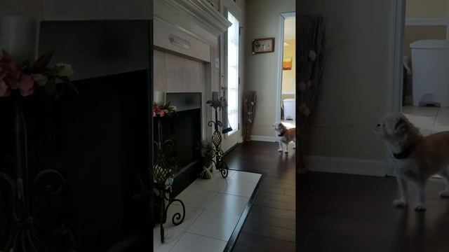 It is Ok to Tell People How You Feel TIs смотреть онлайн