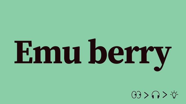 Emu berry Pronunciation and Meaning смотреть онлайн