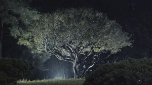 Мягкий звук дождя 🌧️ ASMR антистресс, белый шум от бессонницы 🌙