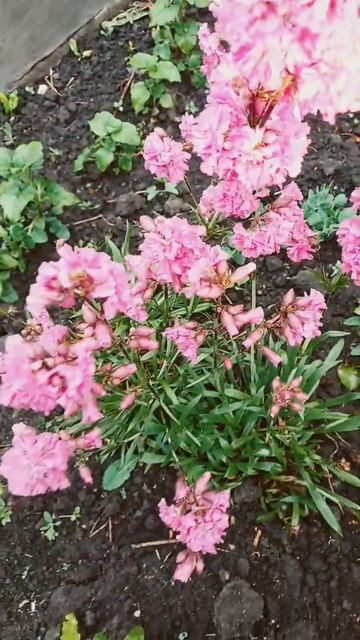 8 июня 2023 г. смотреть онлайн