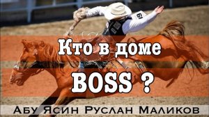 Кто в доме BOSS? Кто, что и кому должен?
