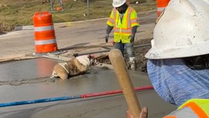 Подборка, неудачи на работе