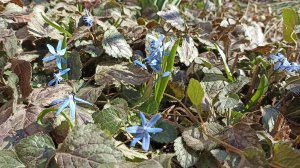 Солнечные ванны для НУТРИЙ. Мешок вкусняшек. 11.03.25.