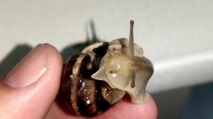 Отдых в Крыму в сезон дождей. Погода в Крыму. В Крым на авто