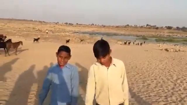 Chambal me bakari charane bale bachche ga rahe song