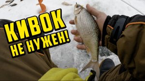 НЕТ КИВКА - НЕТ ПРОБЛЕМ? Кайфовая зимняя рыбалка на безкивковую безмотылку, ловля плотвы и леща
