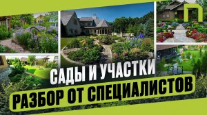 Секреты идеального сада: оцениваем примеры с профессионалами!