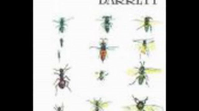 3 Syd Barrett Tunes From The Album 'Barrett' смотреть онлайн